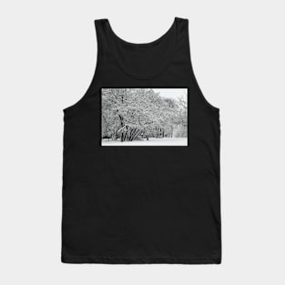 Park under snow Tank Top